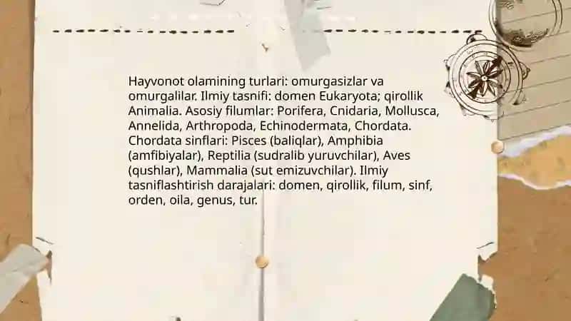 Hayvonot olami 3