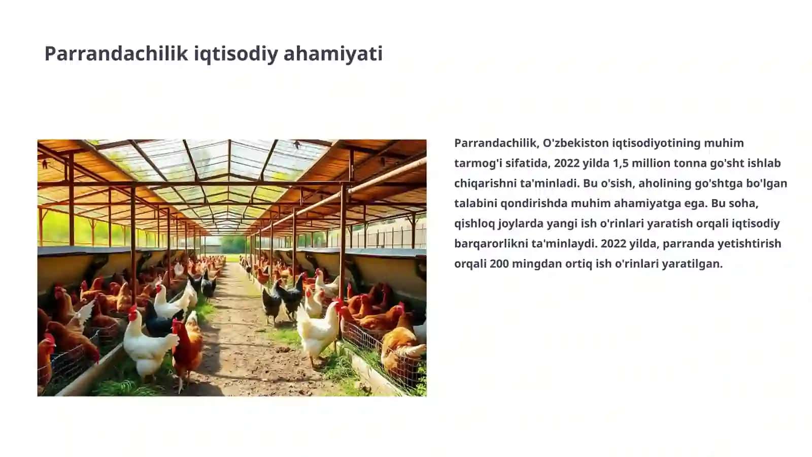 Parrandachilikni rivojlantirish bo'yicha biznes loyiha 3