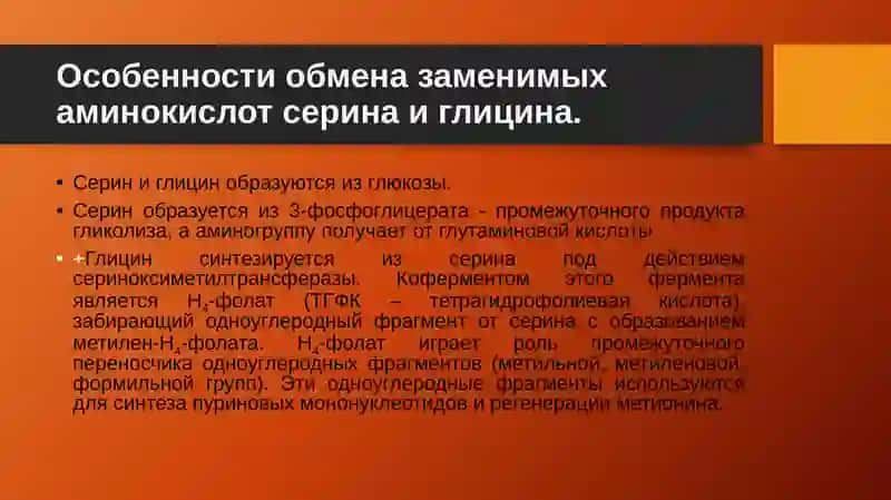 Обмен отдельных аминокислот 3