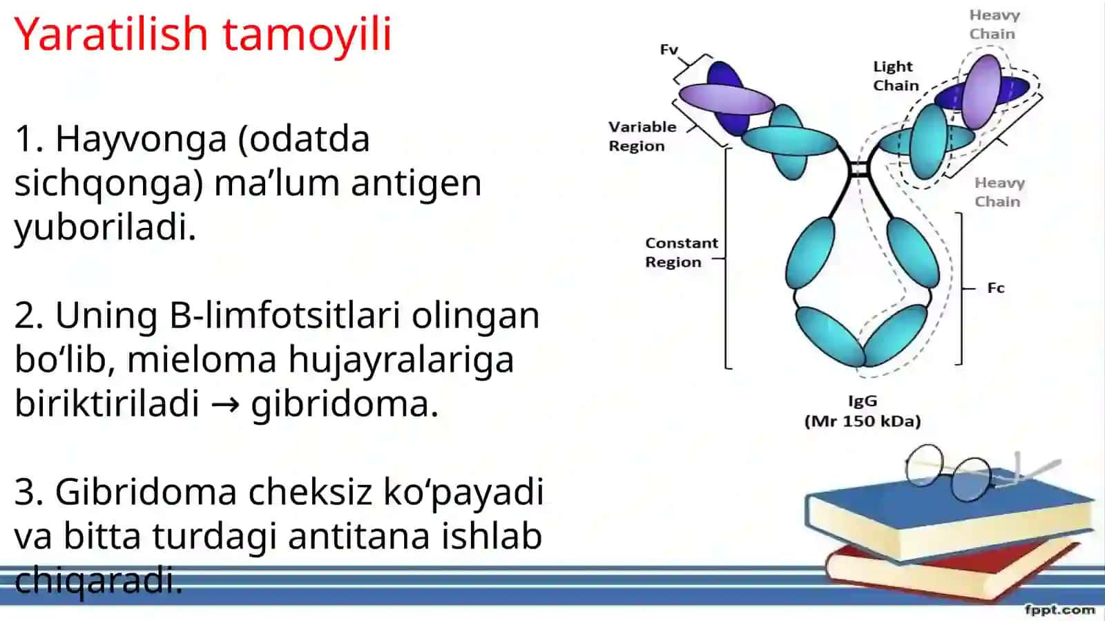 monoklonal antitelalar va tibbiyot amaliyotlarida qo'llanilishi. interferon va sitokinin ta'sir mexa 3