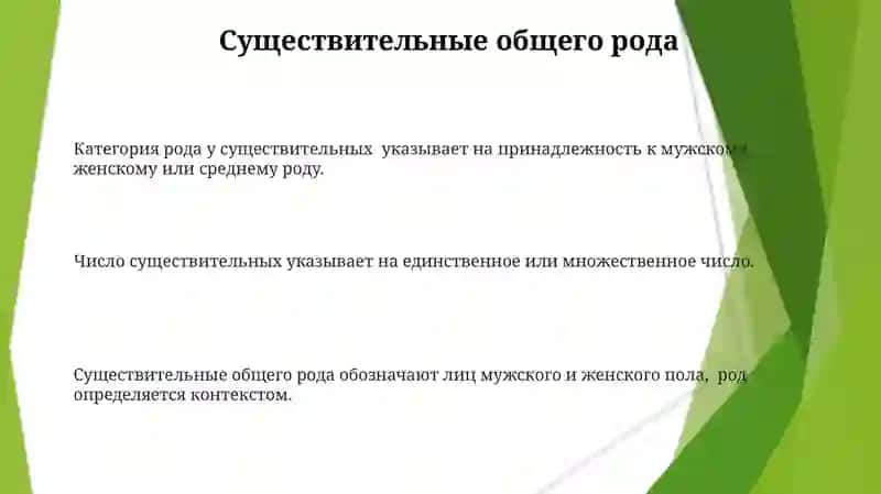 Имя существительное. Категория рода и числа 3