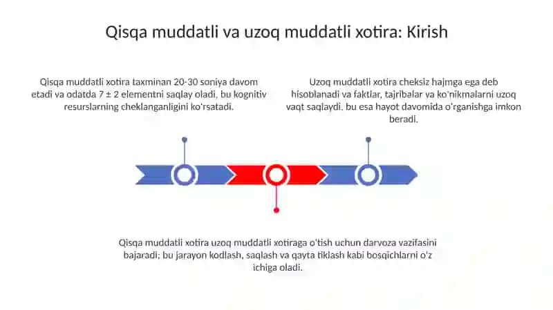 Qisqa muddatli va uzoq muddatli xotira 3