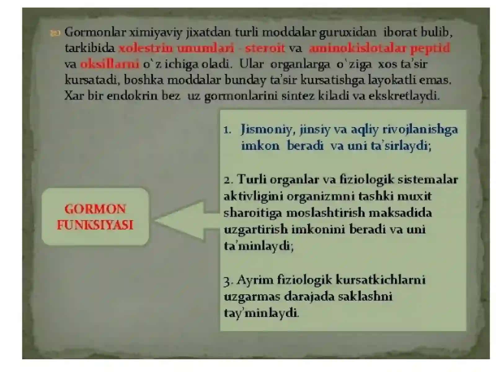 timus 3