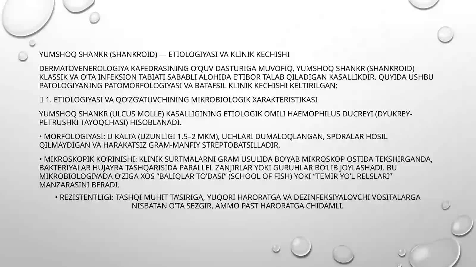 Yumshoq Shankr (Shankroid) 3