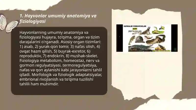 Hayvonlar anatomiyasi, fiziologiyasi 3