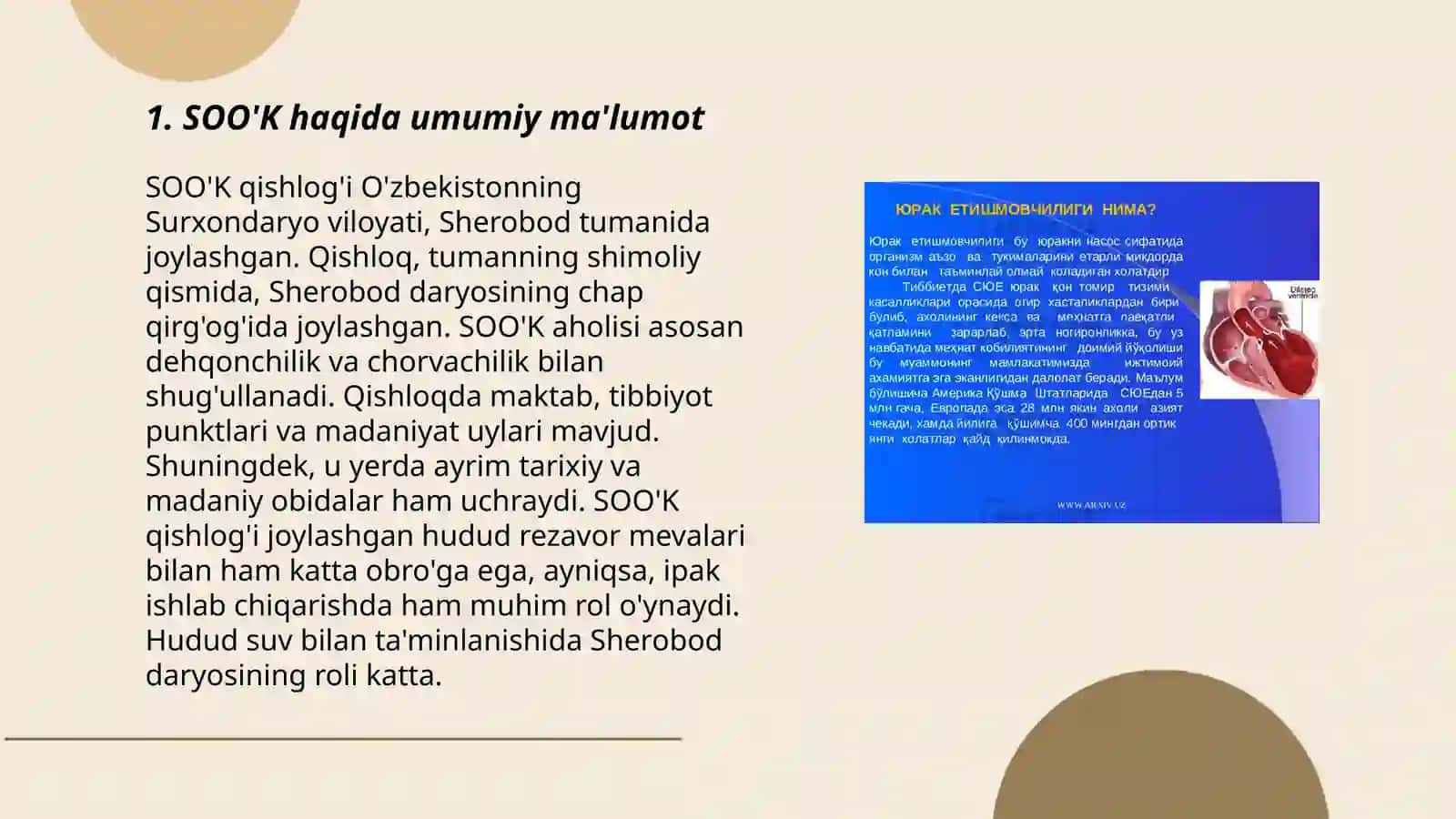SOO'K va boshqa epidemiya bo'lmagan kasalliklarga chalingan bemorlarni dispanser kuzatuvi 3