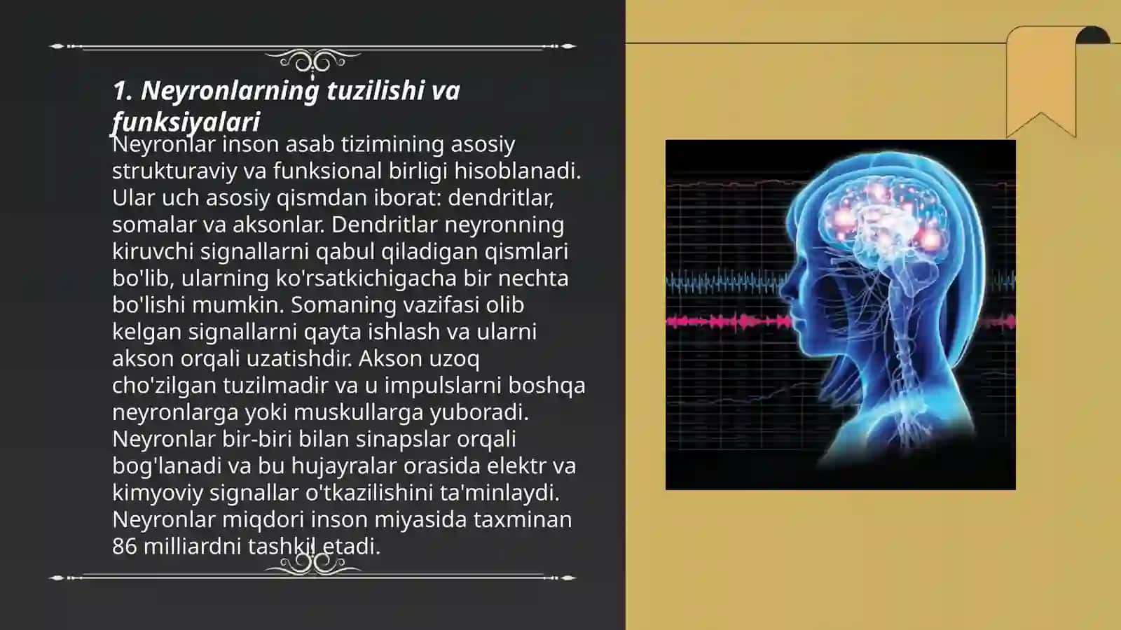 Xulq atvorning nerv fiziologik asoslari 3