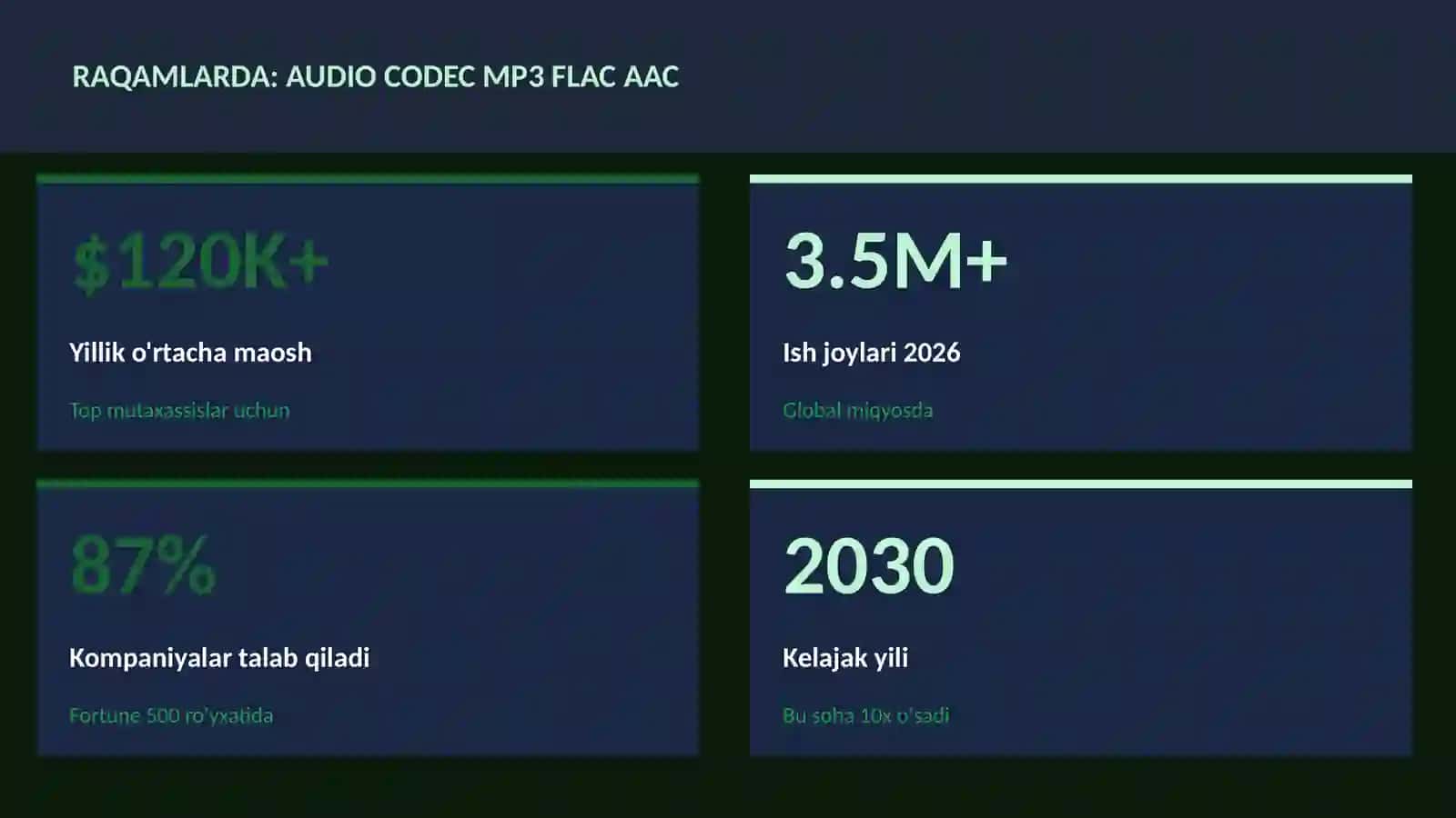Audio codec MP3 FLAC AAC haqida 3