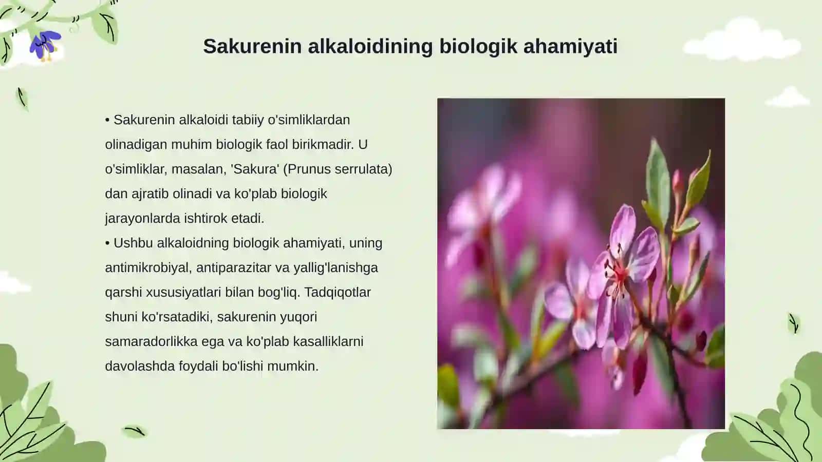 Sakurenin alkaloidi 3