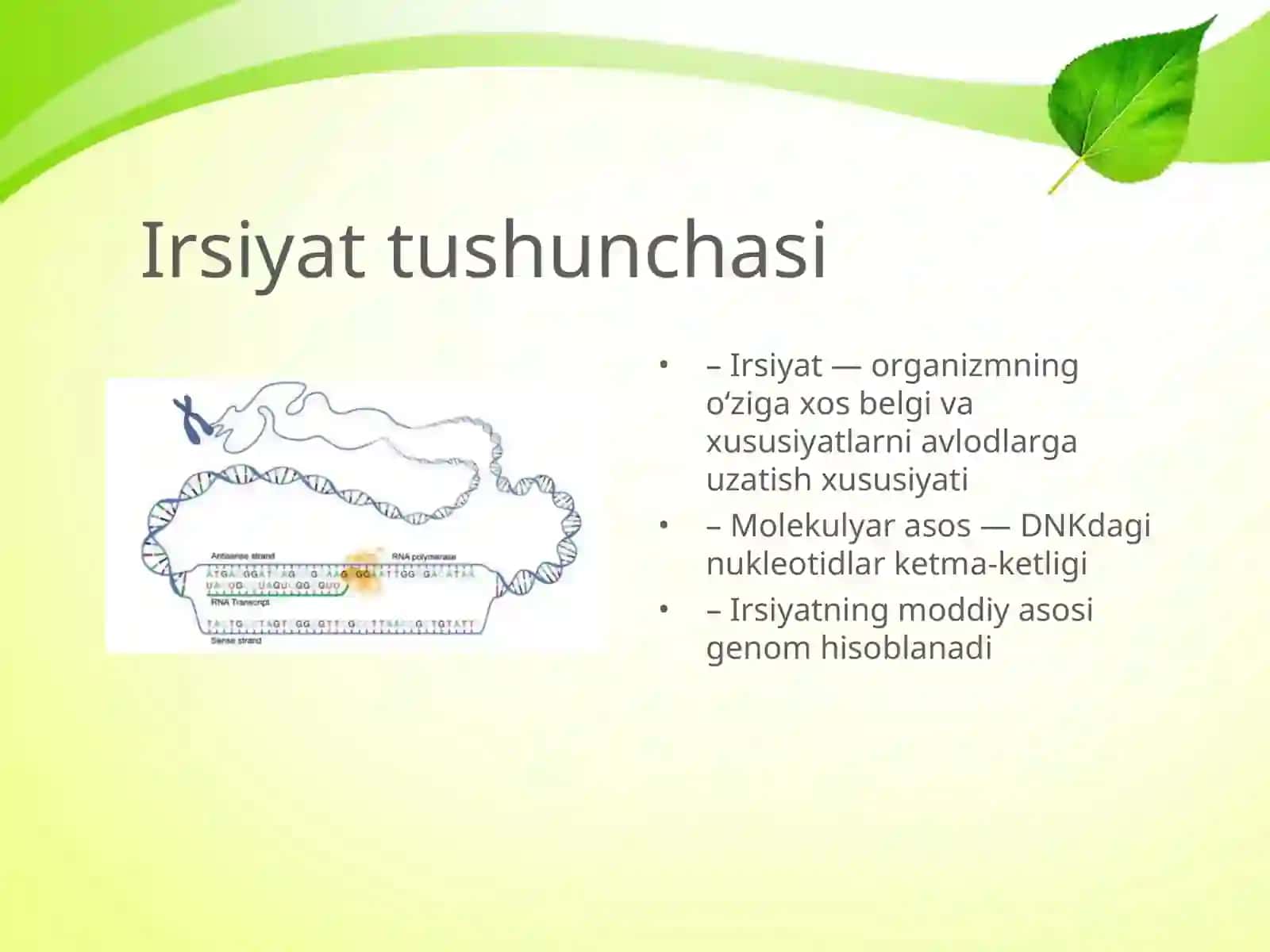 IRSIYATNING MOLEKULYAR ASOSLARI 3