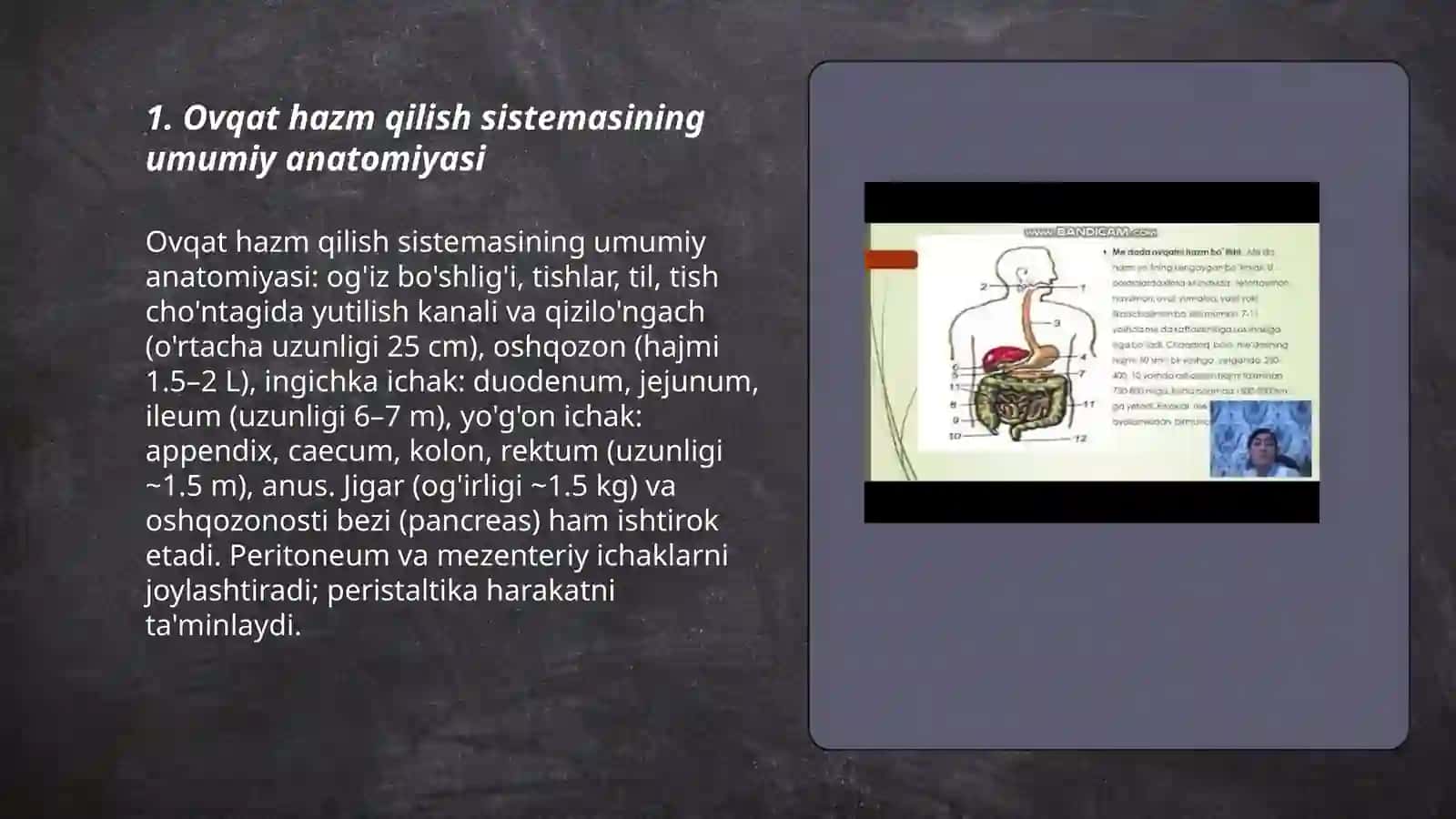 Ovqat hazm qilish sistemasi 3