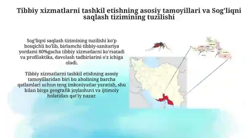 Tibbiy hizmat va sanitariya epidemiologiya hizmati 3