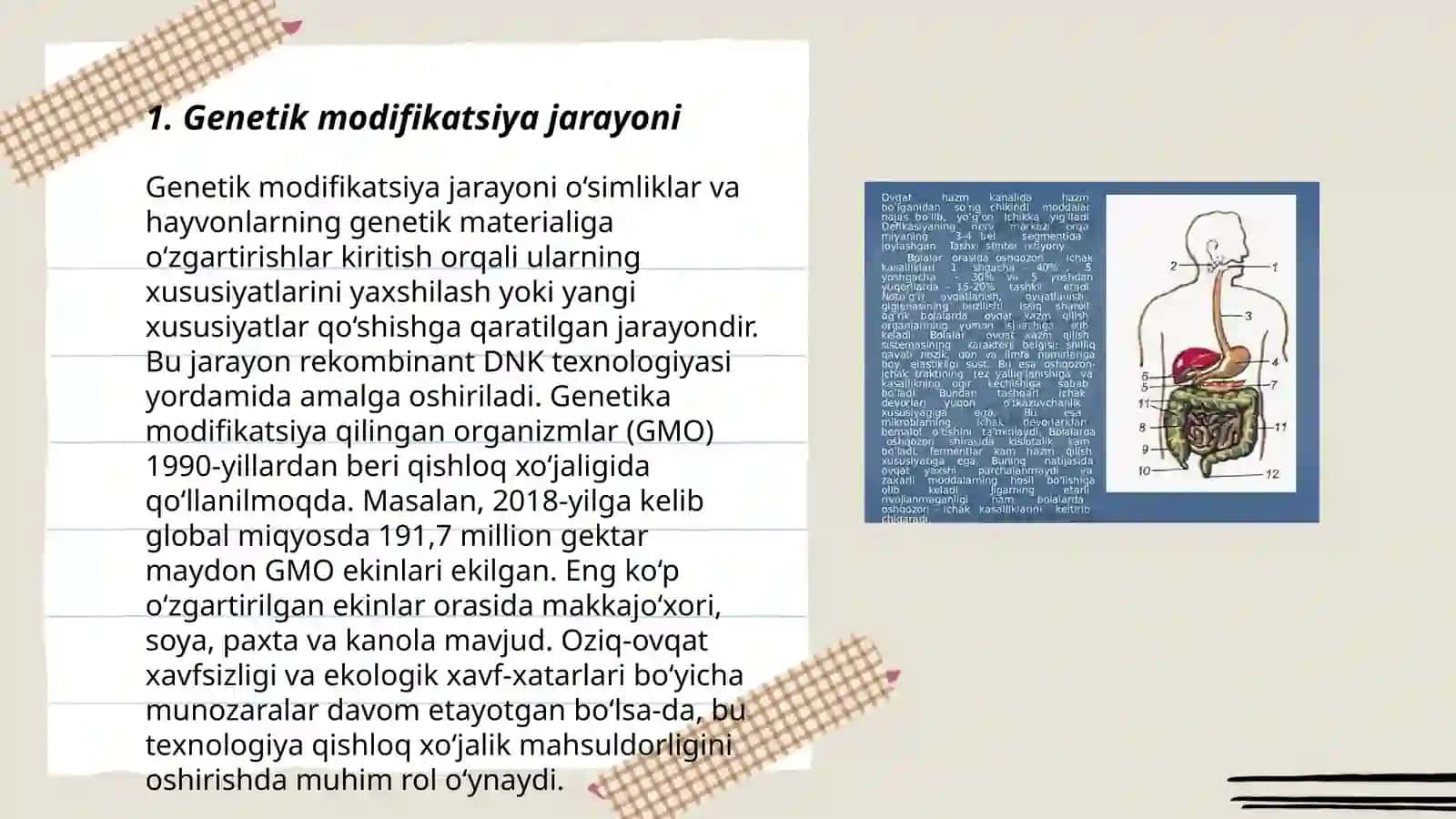 Genetik modifikatsiya jarayoni 3
