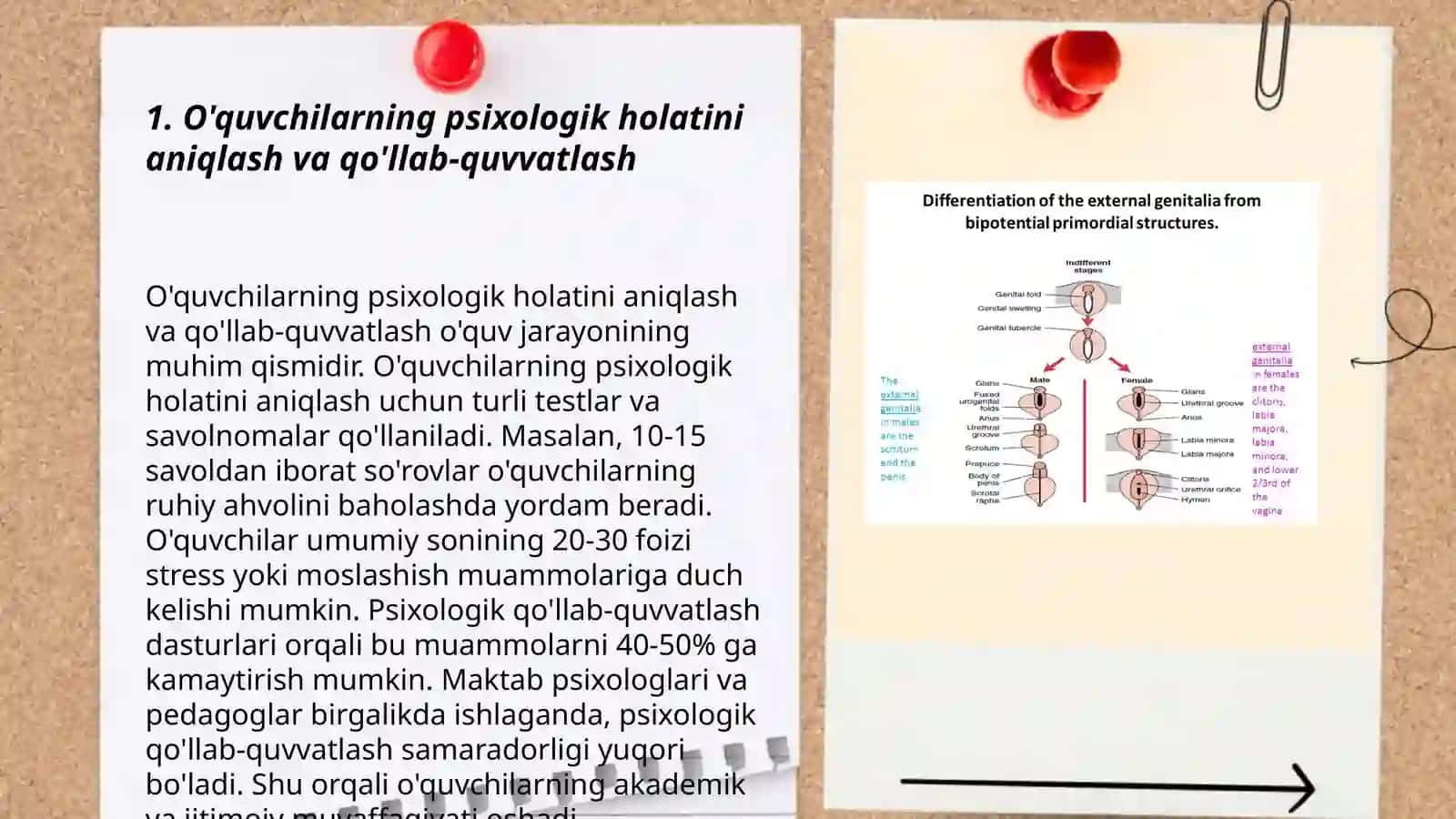 O'quvchilarning psixologik holatini aniqlash va qo'llab-quvvatlash 3