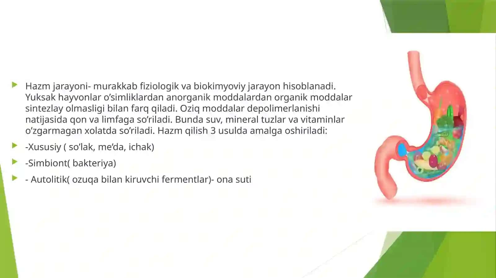 Mustaqil IShM: Hazm fiziologiyasi 3