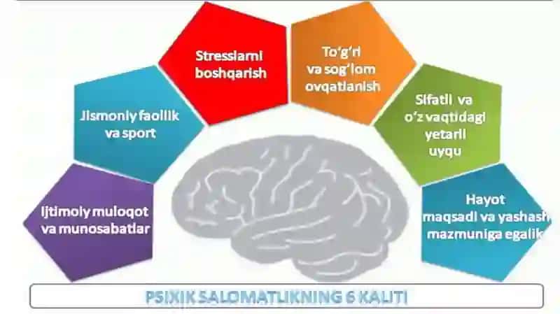 MDX davlatlarining sog‘liqni saqlash tizimida psixologik xizmatning o‘ziga xosligi. Evropa davlatlarining sog‘liqni saqlash tizimida psixologik xizmatning o‘ziga xosligi 3