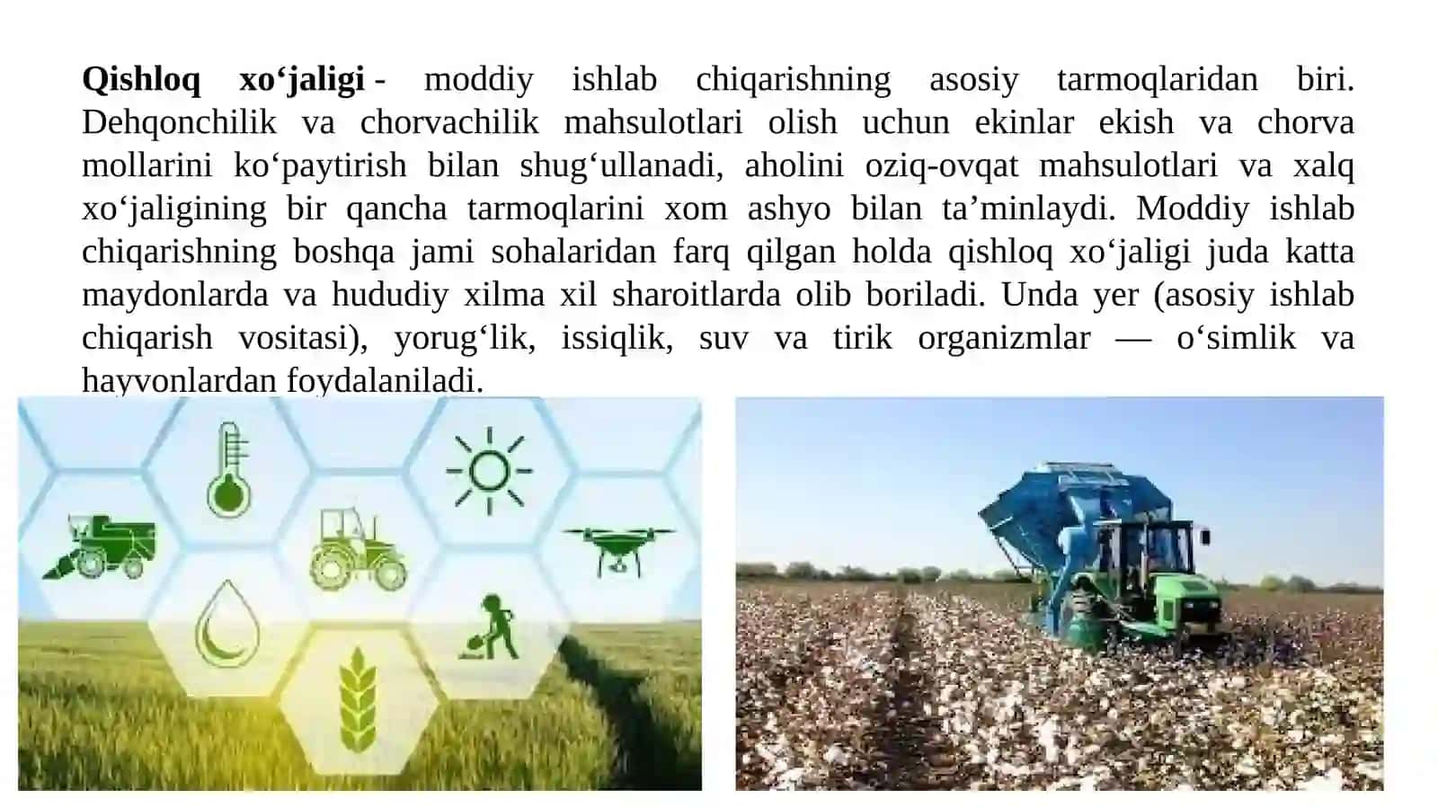 Iqtisodiy islohotlarni chuqurlashtirish sharoitida qishloq xo’jaligining hududiy ixtisoslashuvi 3