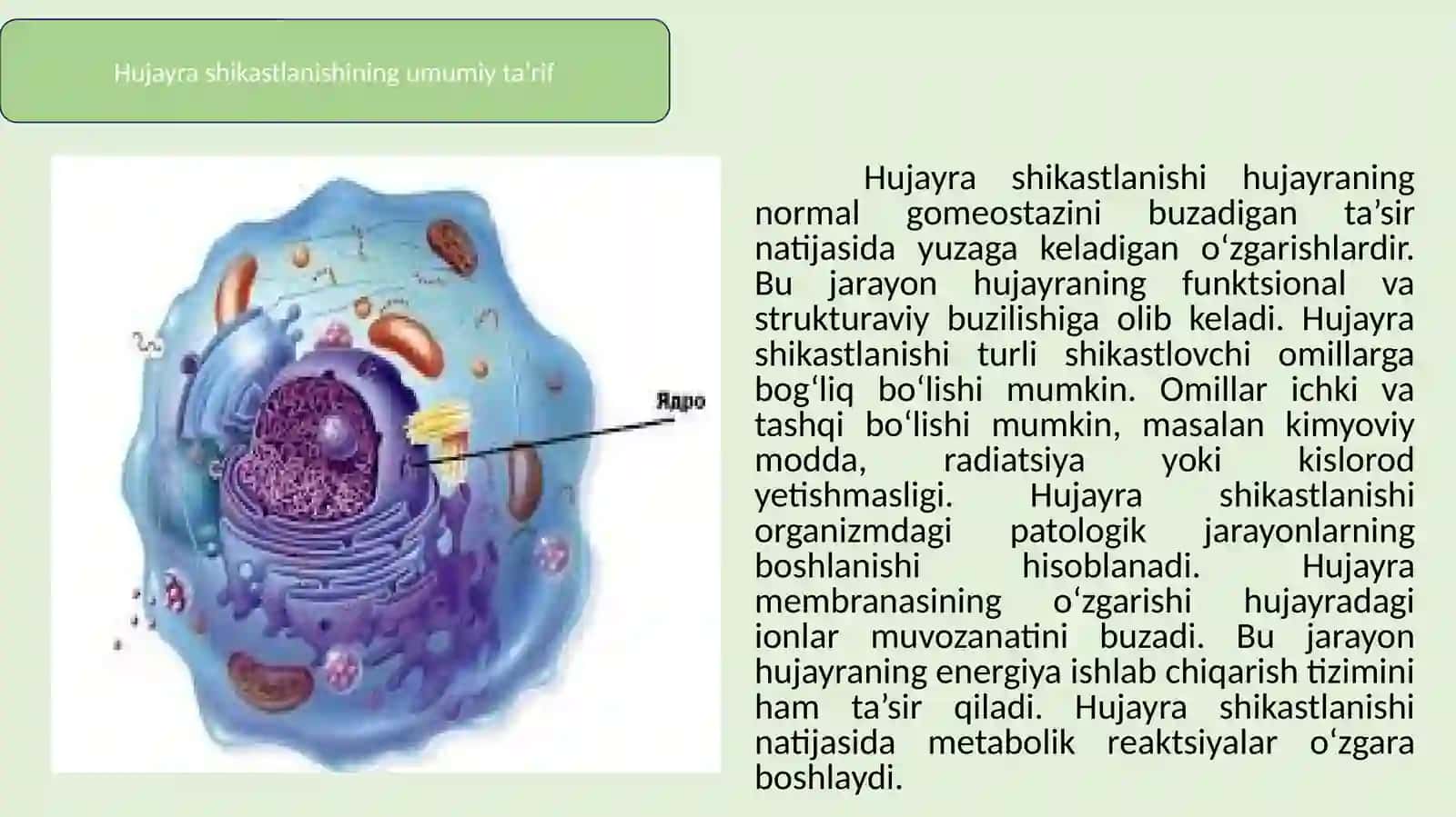 Hujayra shikastlanishida mahalliy va umumiy reaksiyalar 3