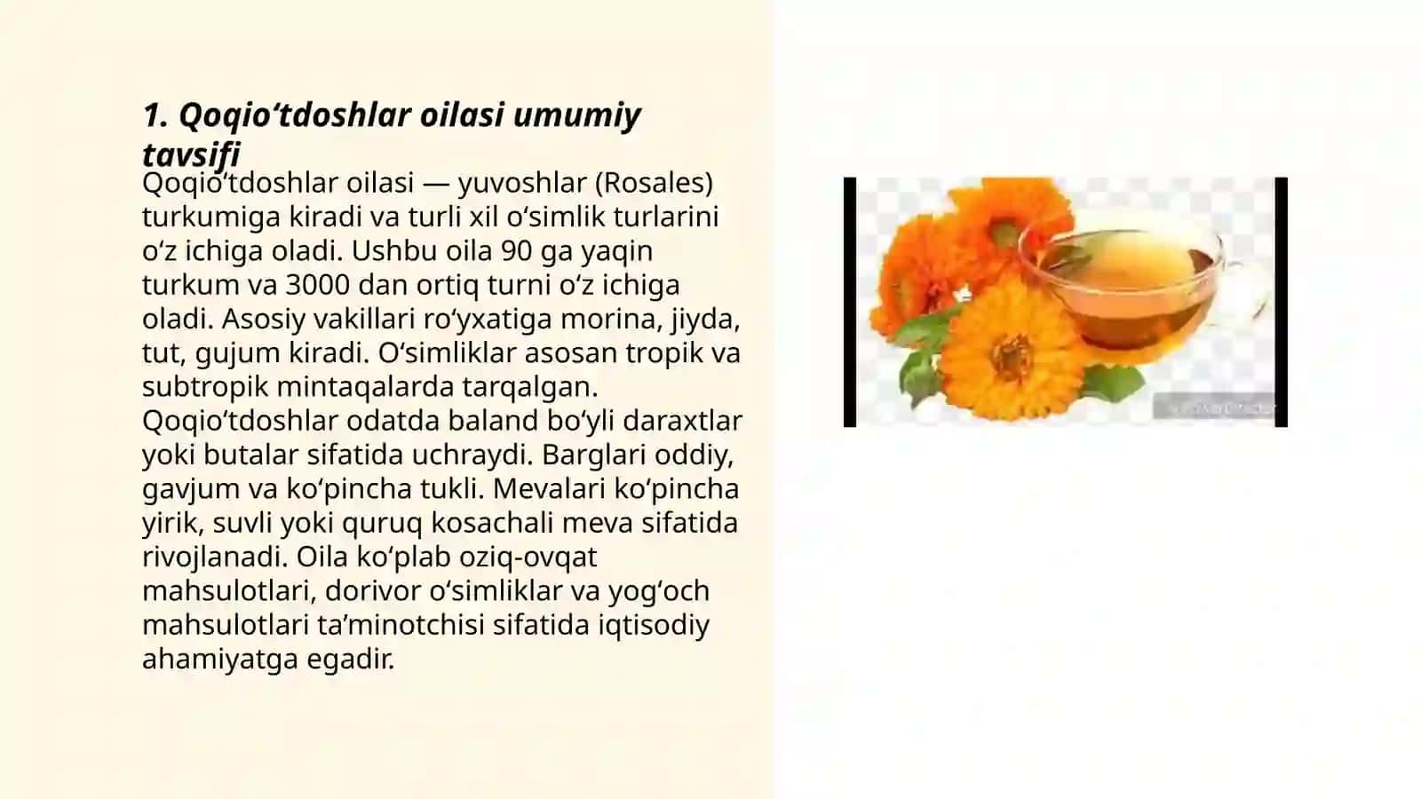 Qoqioʻtdoshlar oilasi tarqalishi va geografiyasi 3