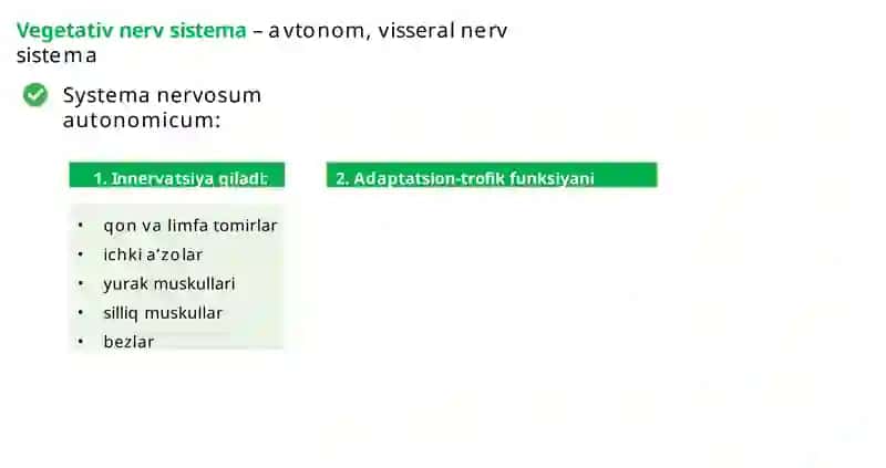 Anatomiya 3