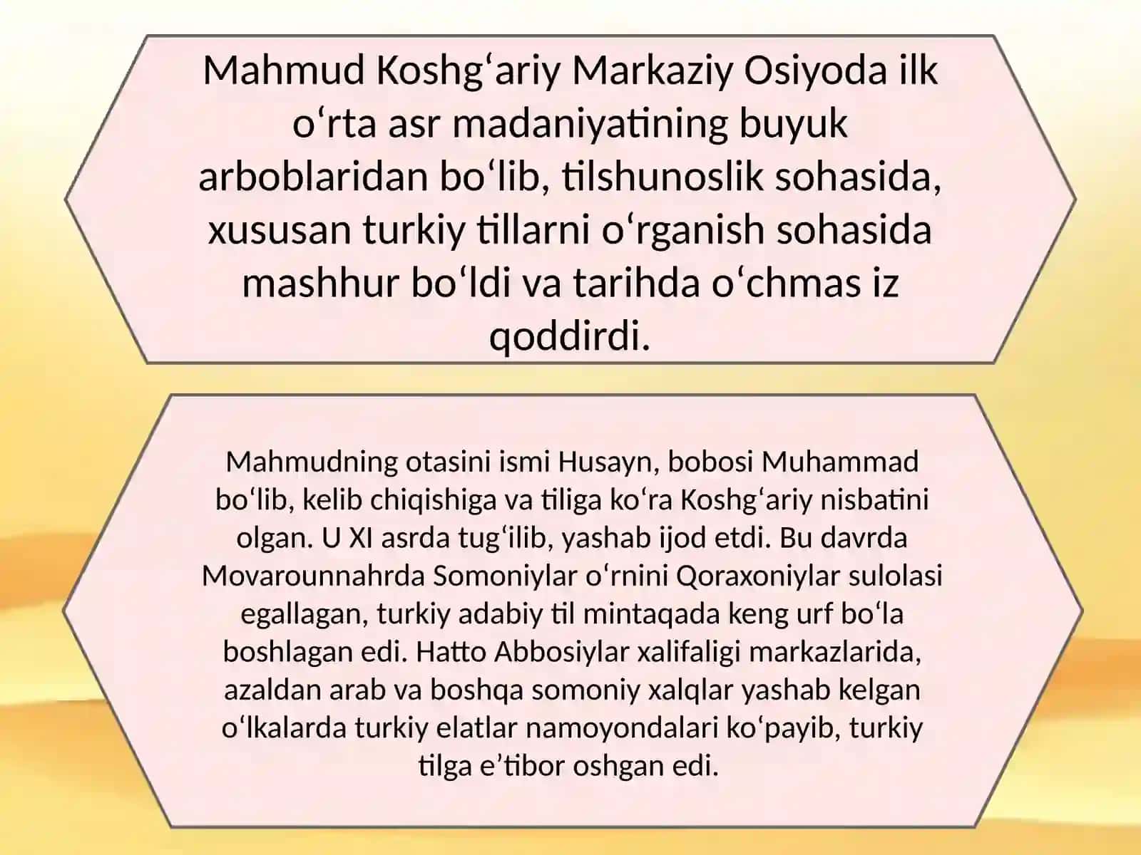 Mahmud Koshgʻariy 3