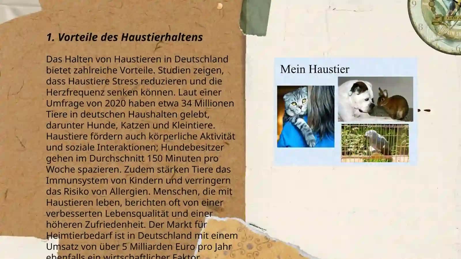 Das Behalten von Haustieren 3