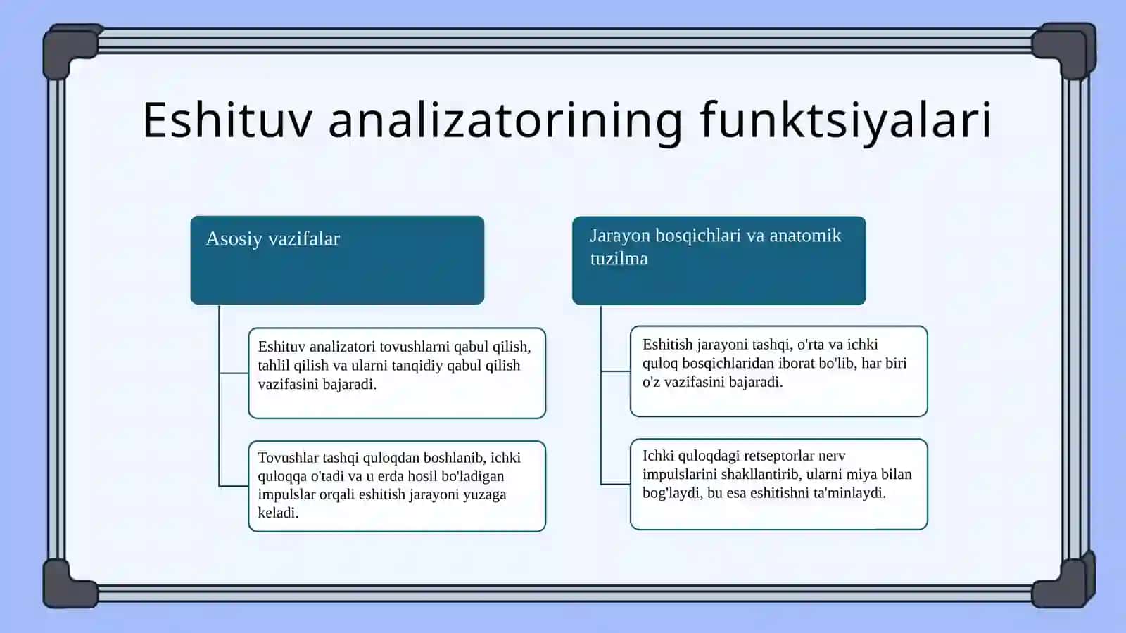 Eshituv va vestibulyar analizatorlar va ichki a'zolarni o'zaro bog'liqligi 3
