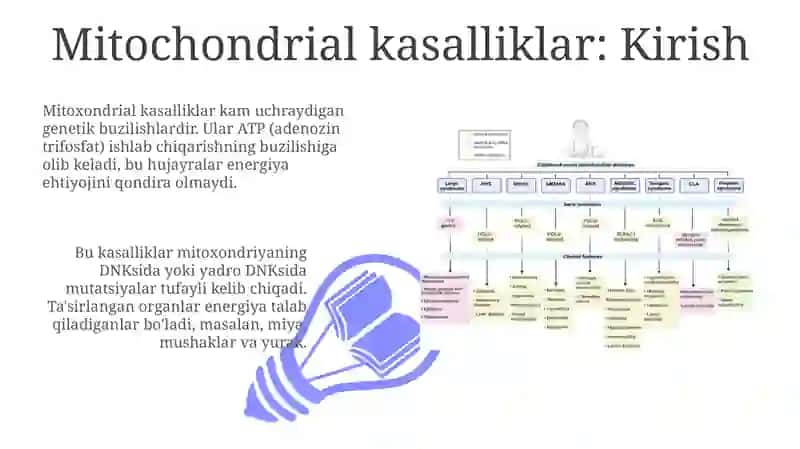 Mitoxondrialkasalliklar va Gipoenergetik holatlar 3