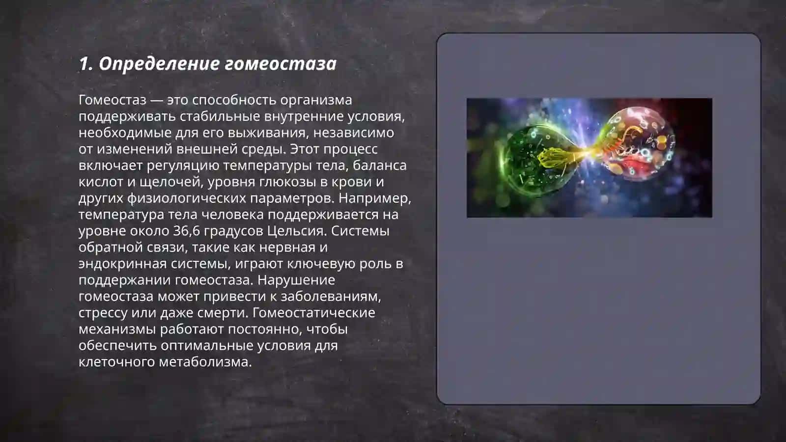 Гомеостаз 3