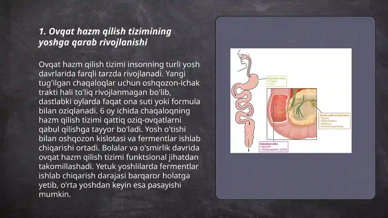 Ovqat hazm qilish va ovqatlanishning yoshga oid fiziologiyasi va gigenasi 3