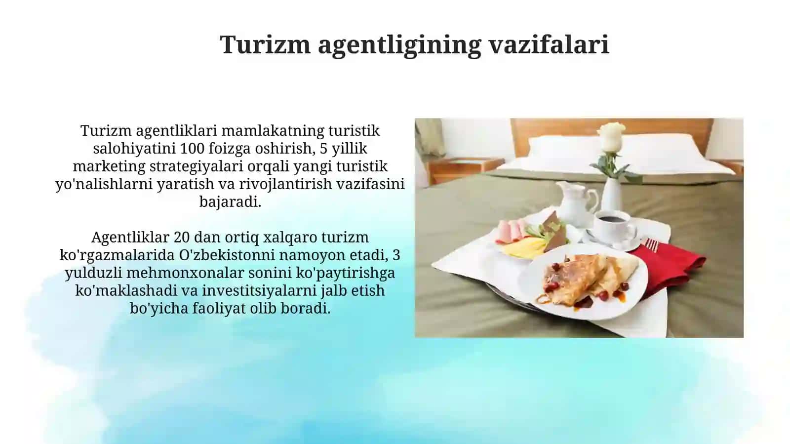 Turizm agentligi va Oʻzbekistondagi Milliy taomlarbilankollaboratsiyasi 3