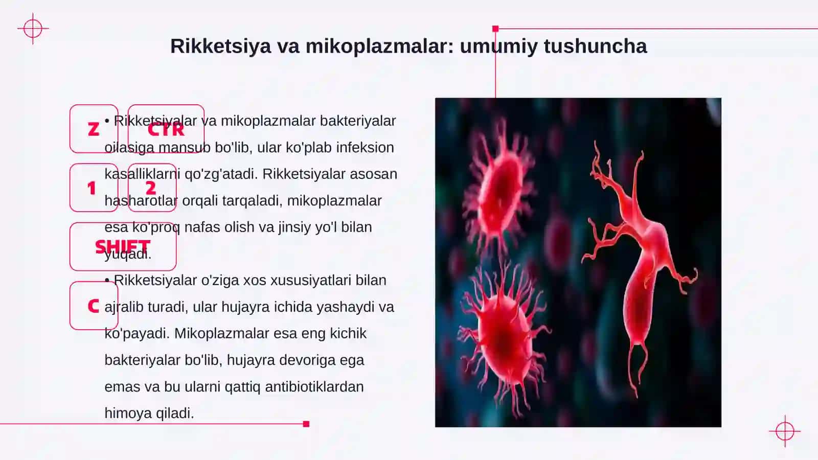 Rikketsiya va mikoplazmalar qo‘zg‘atuvchi kasalliklar 3
