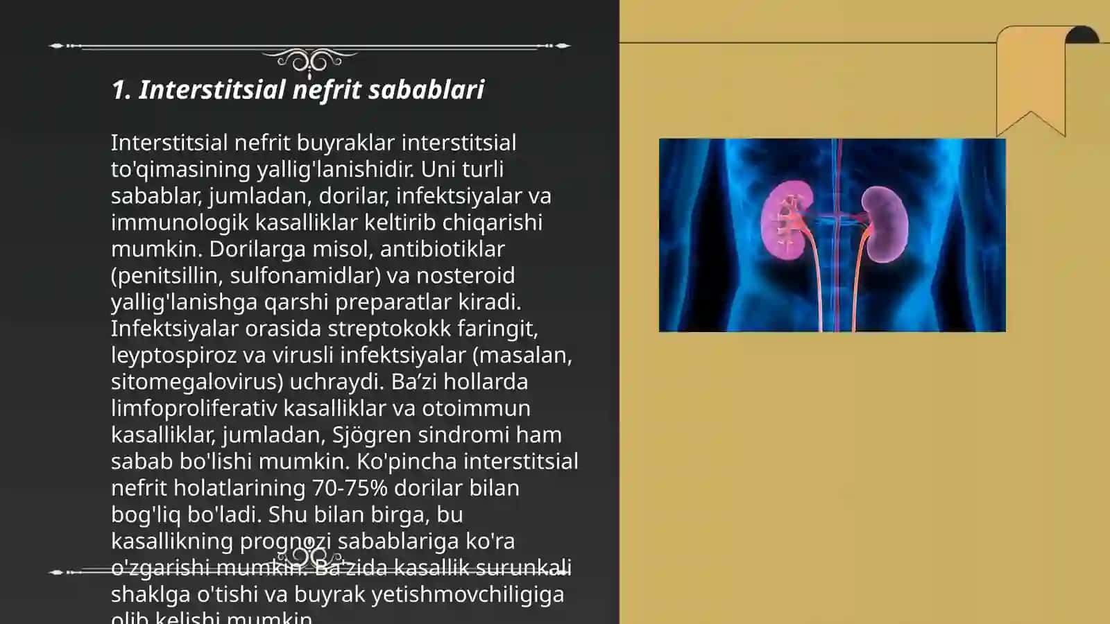 Interstitsial nefrit 3