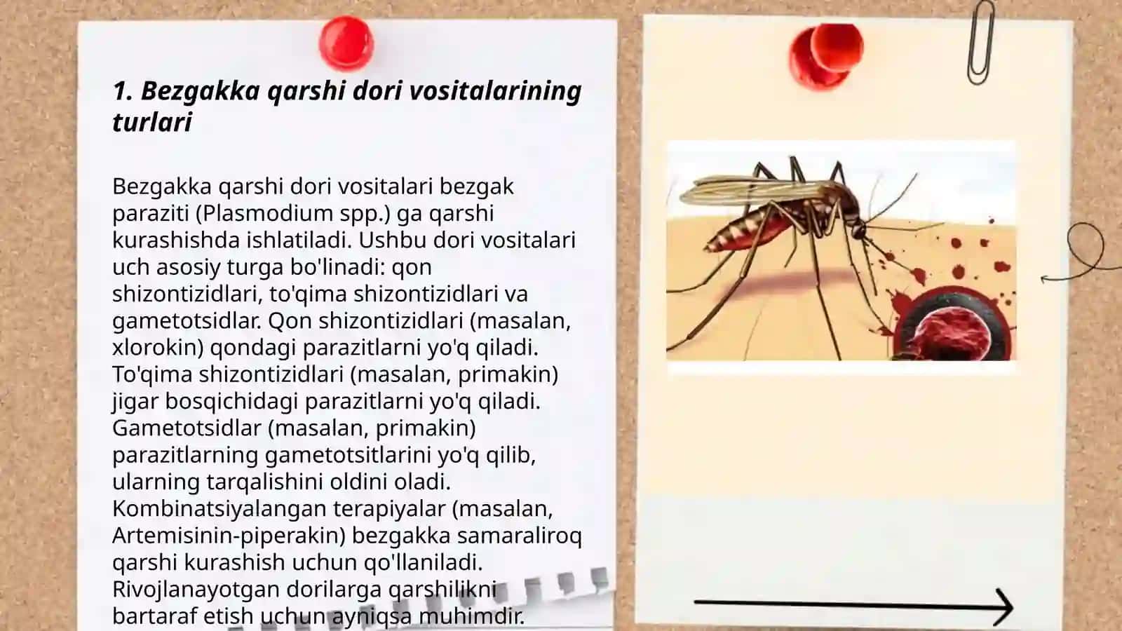 Bezgakka qarshi dori vositalarini qoʼllash tamoyillari 3
