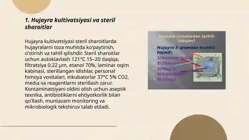 Hujayra toʻqimalari biotexnologiyasi 3
