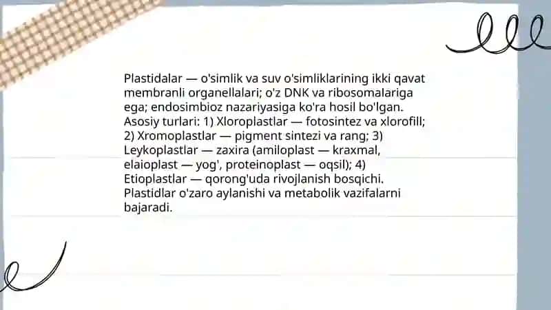 Plastidalar 3