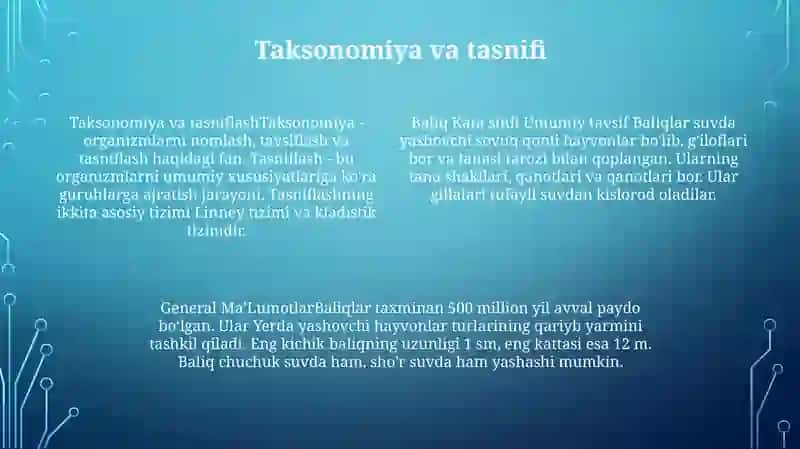 Baliqlar Katta Sinfi Umumiy Tavsifi Va Umumiy Ma'lumotlar 3