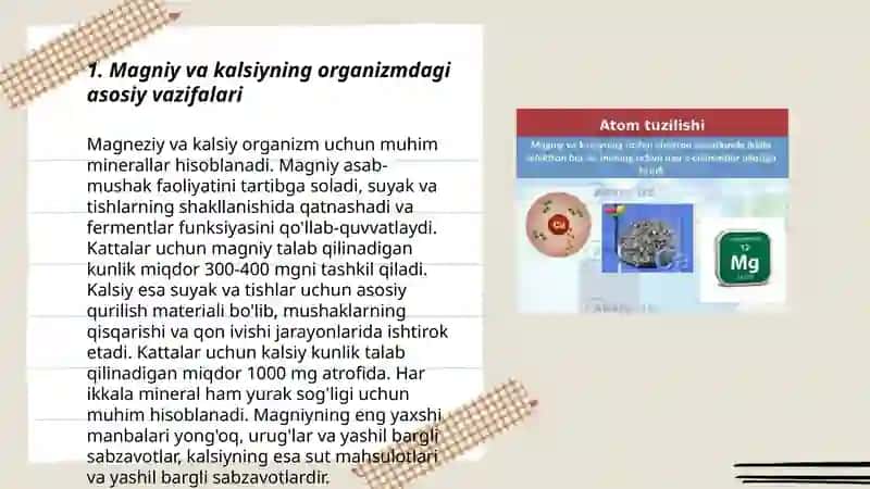 Magniy va kalsiy rux organizmdagi ahamiyat 3