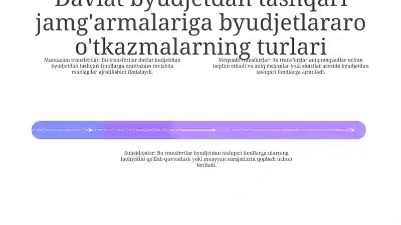 Byudjetlararo Transfertlar 3