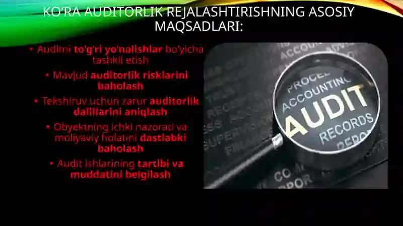 Auditorlik tekshiruvi 3