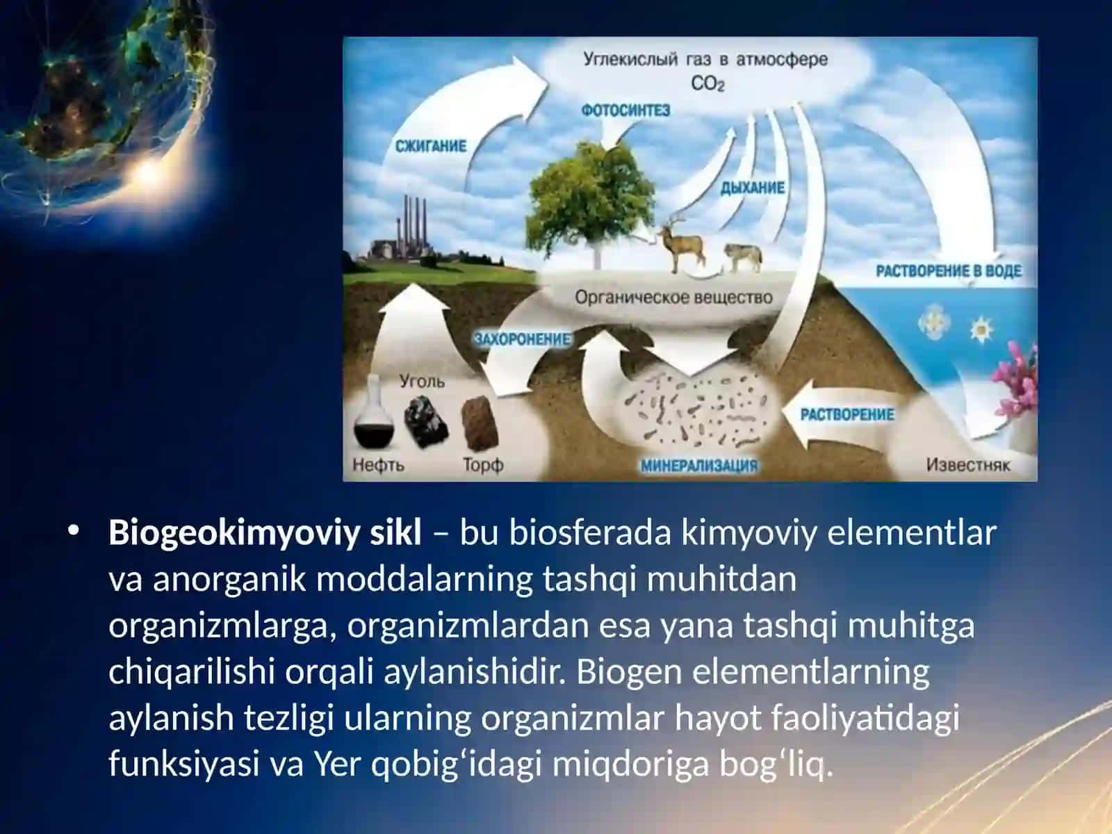 11-sinf Biologiya dars ishlanma. Biogeokimyoviy sikl 3
