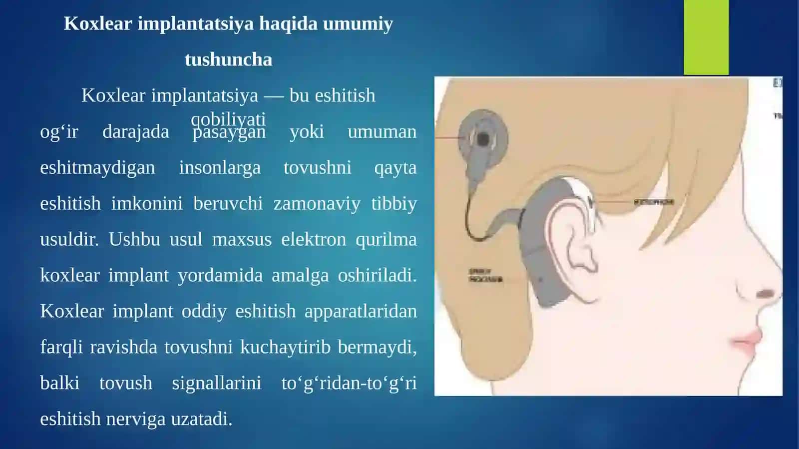 Stomatologiya fakulteti 3