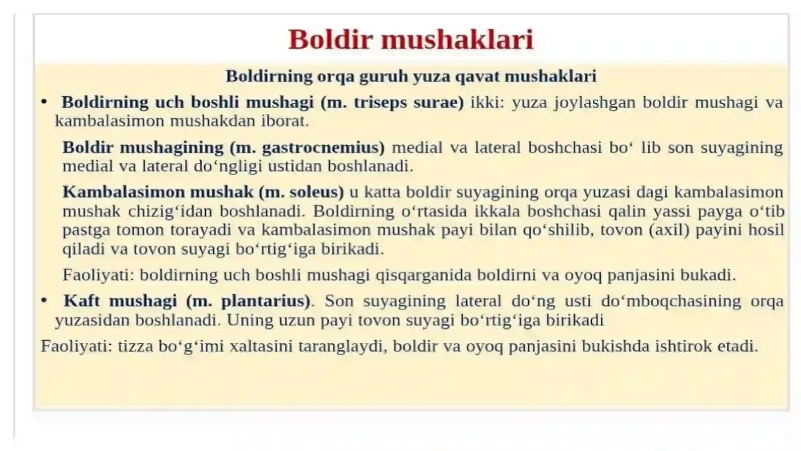 Ko'p tarmoqli tibbiyot texnikumi 3