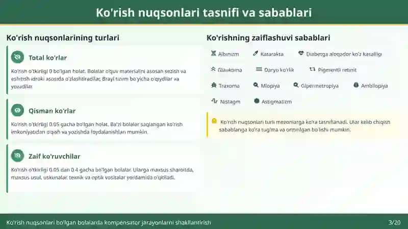 Ko'rish nuqsonlari bo'lgan bolalarda 3