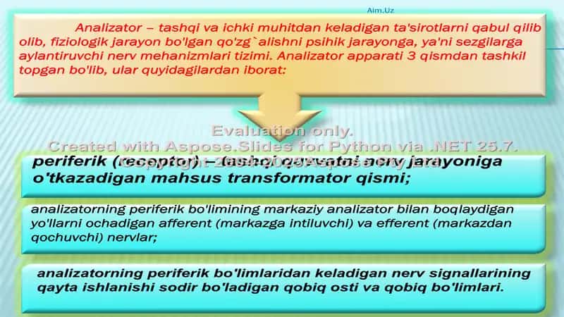 Sezgi (Psixadiaznostika) 3