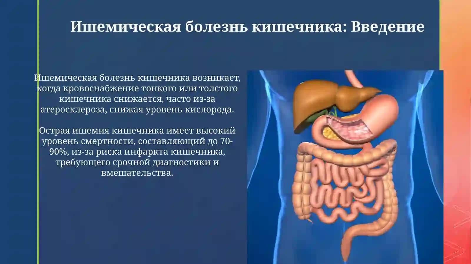 Лечебное дело -2 3