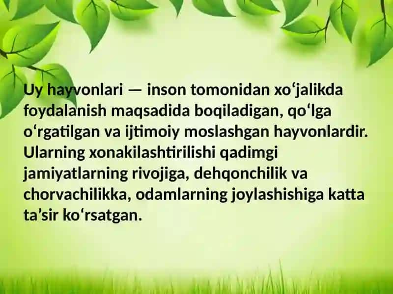 Uy hayvonlarining kelib chiqish markazlari 3