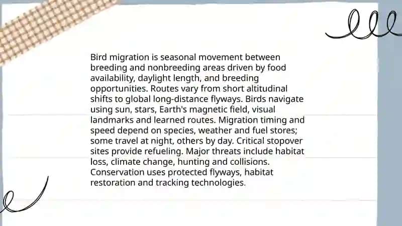 Bird Migration 3
