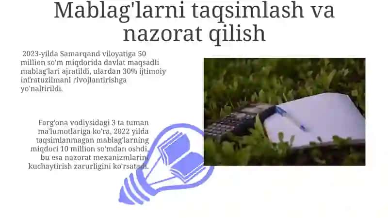 Davlat maqsadli jamģarmalari 3