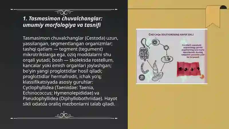 Tasmasimon chuvalchanglar 3